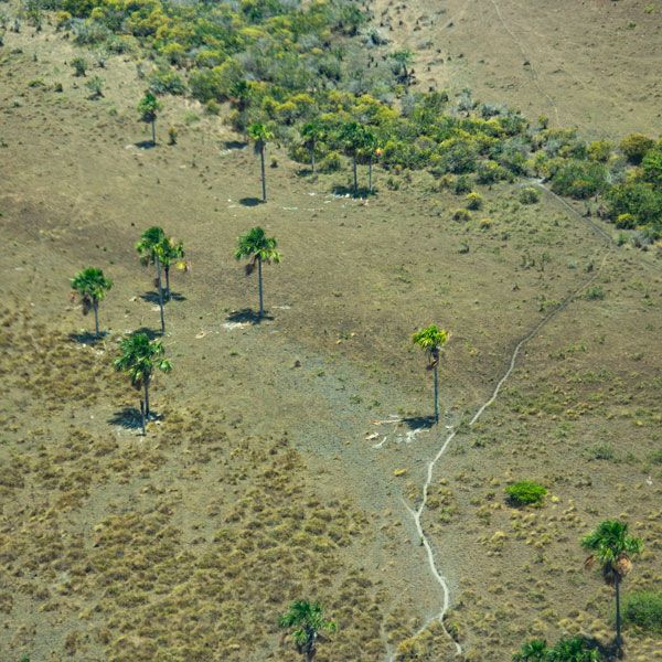 Observatorio Amazonia