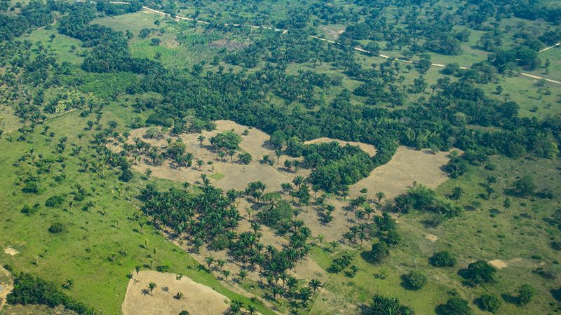 Observatorio Amazonia