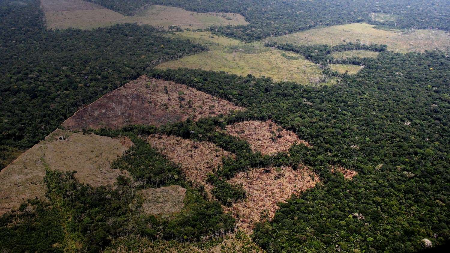 Observatorio Amazonia