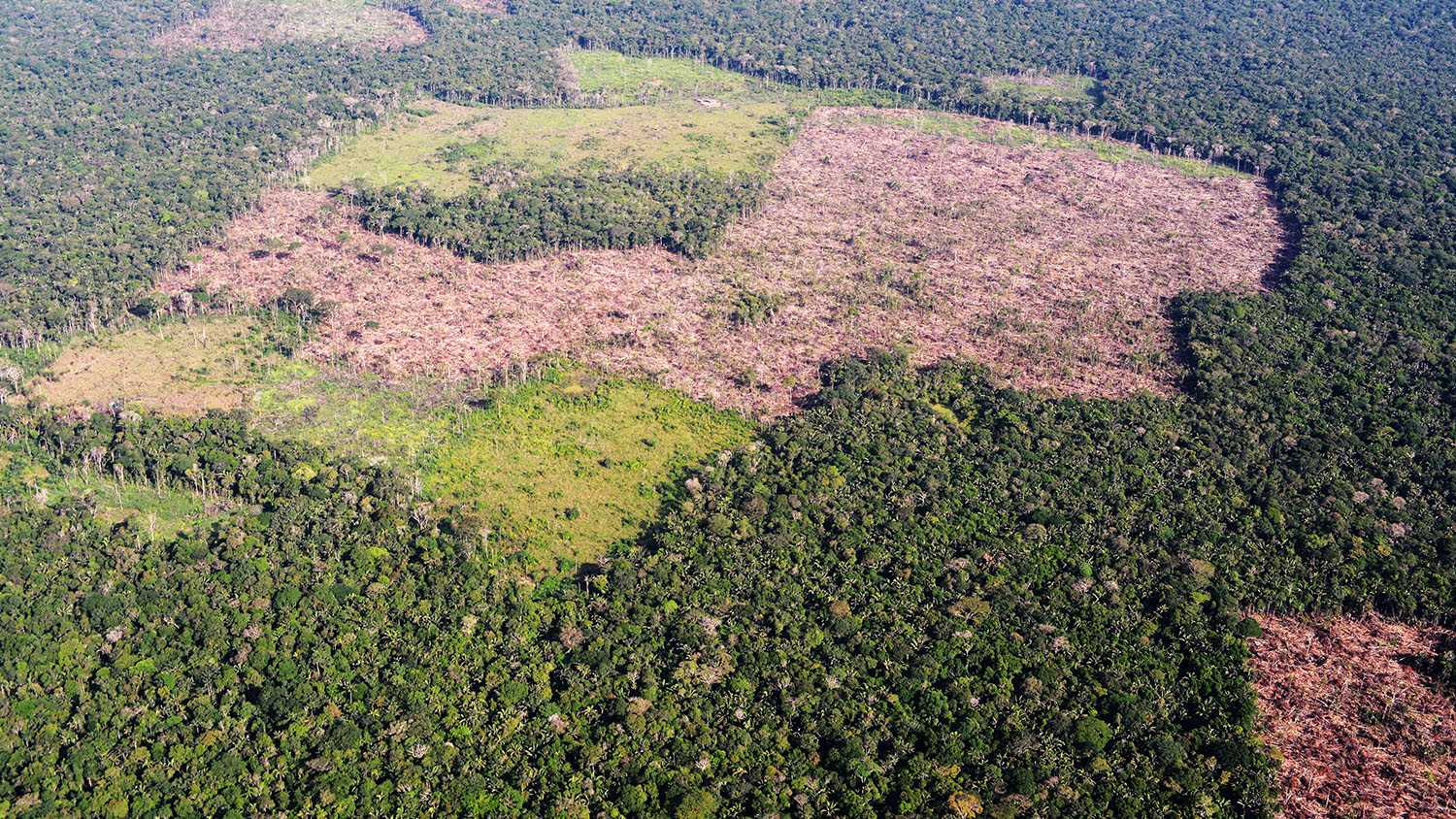 Observatorio Amazonia