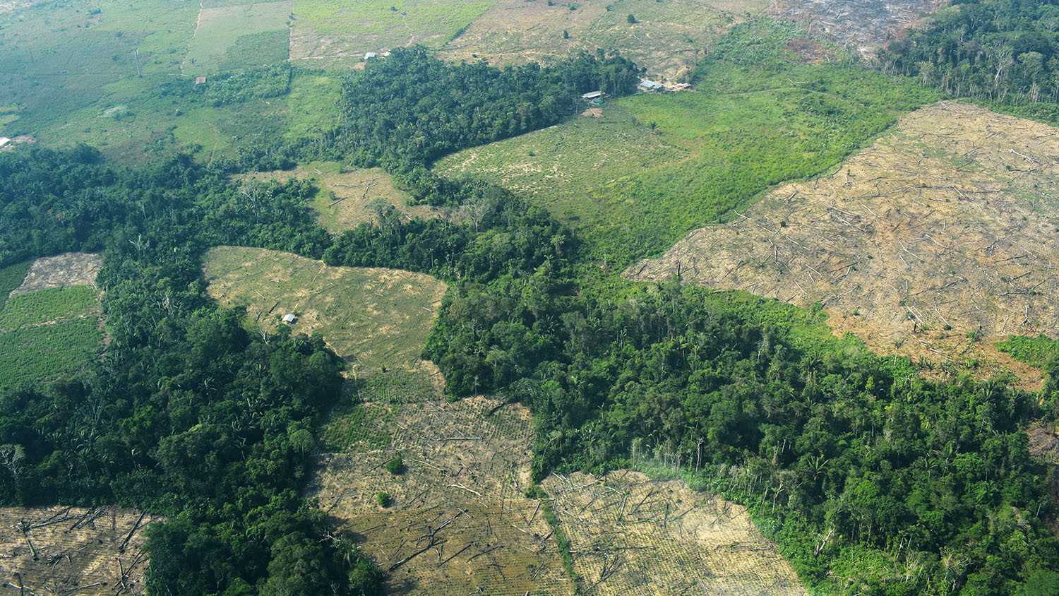 Observatorio Amazonia