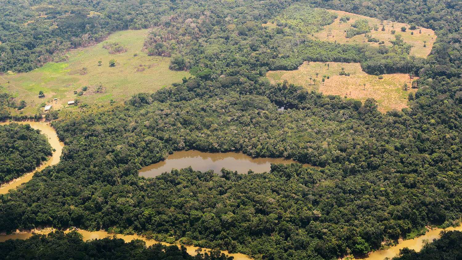 Observatorio Amazonia