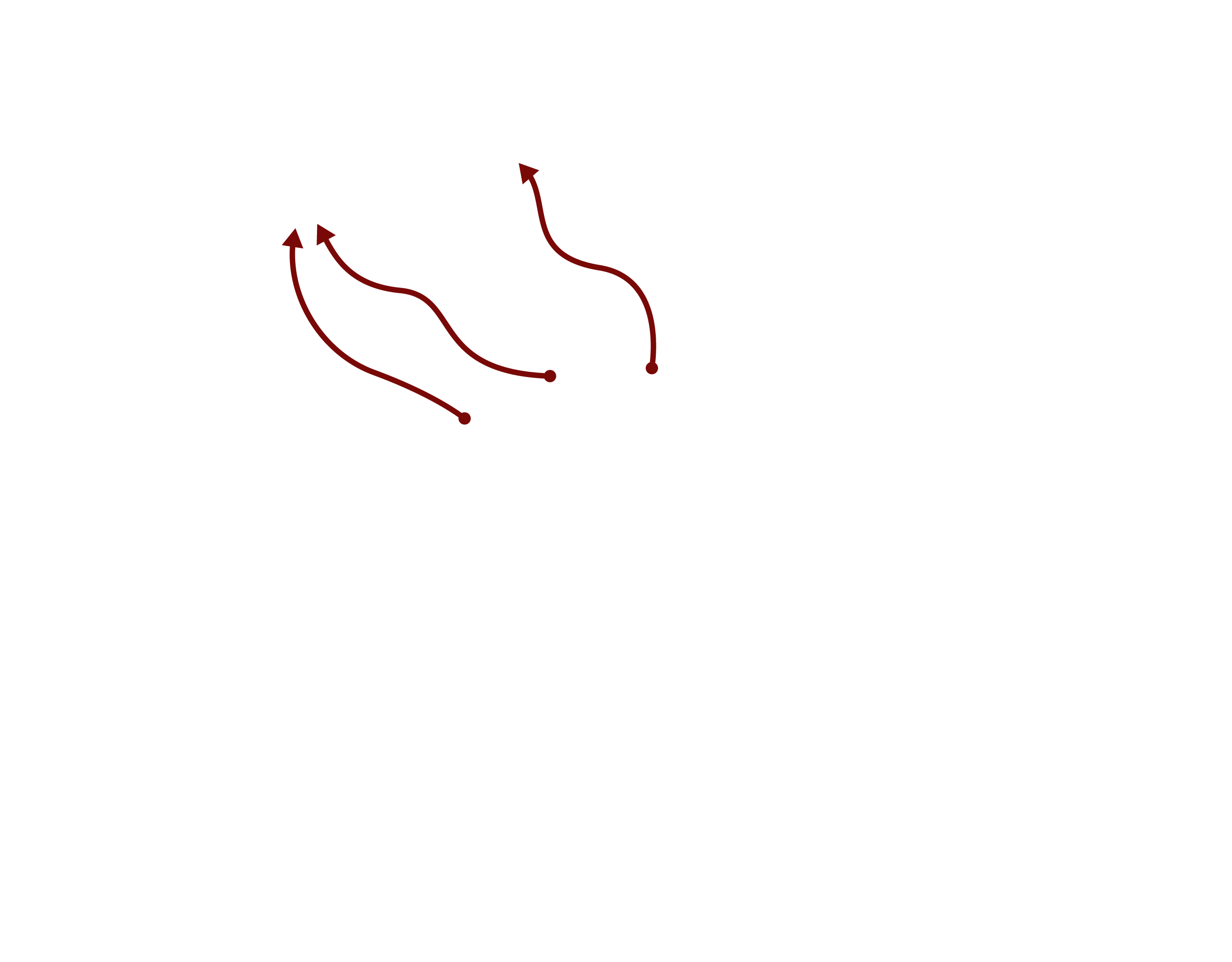 Observatorio Amazonia