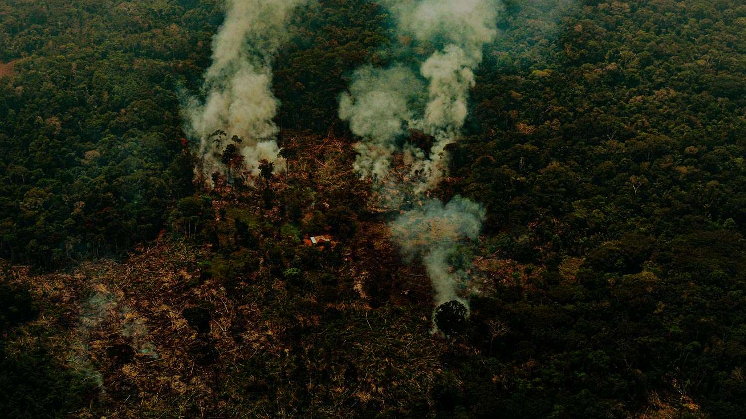 Observatorio Amazonia