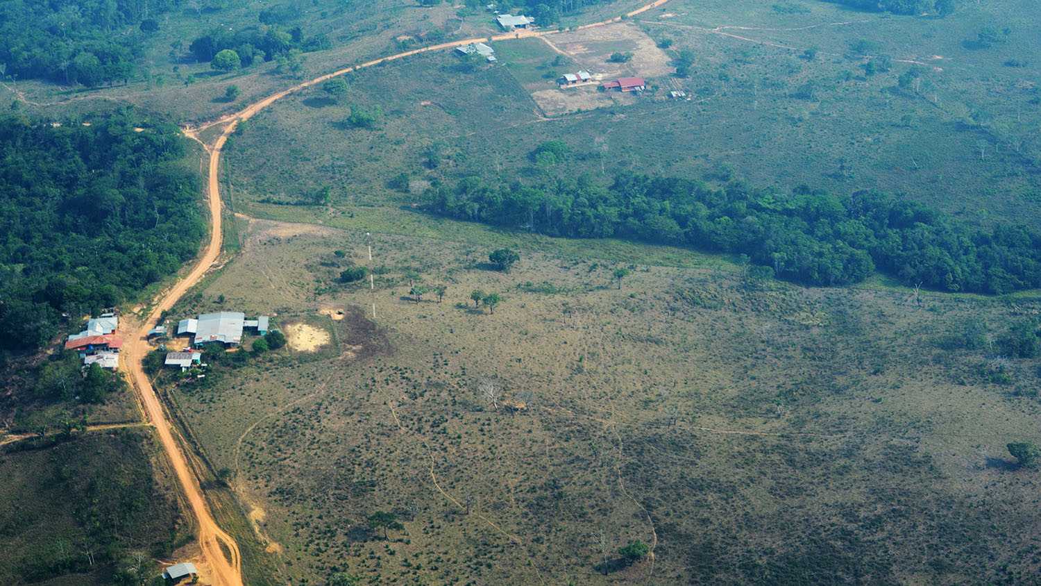 Observatorio Amazonia