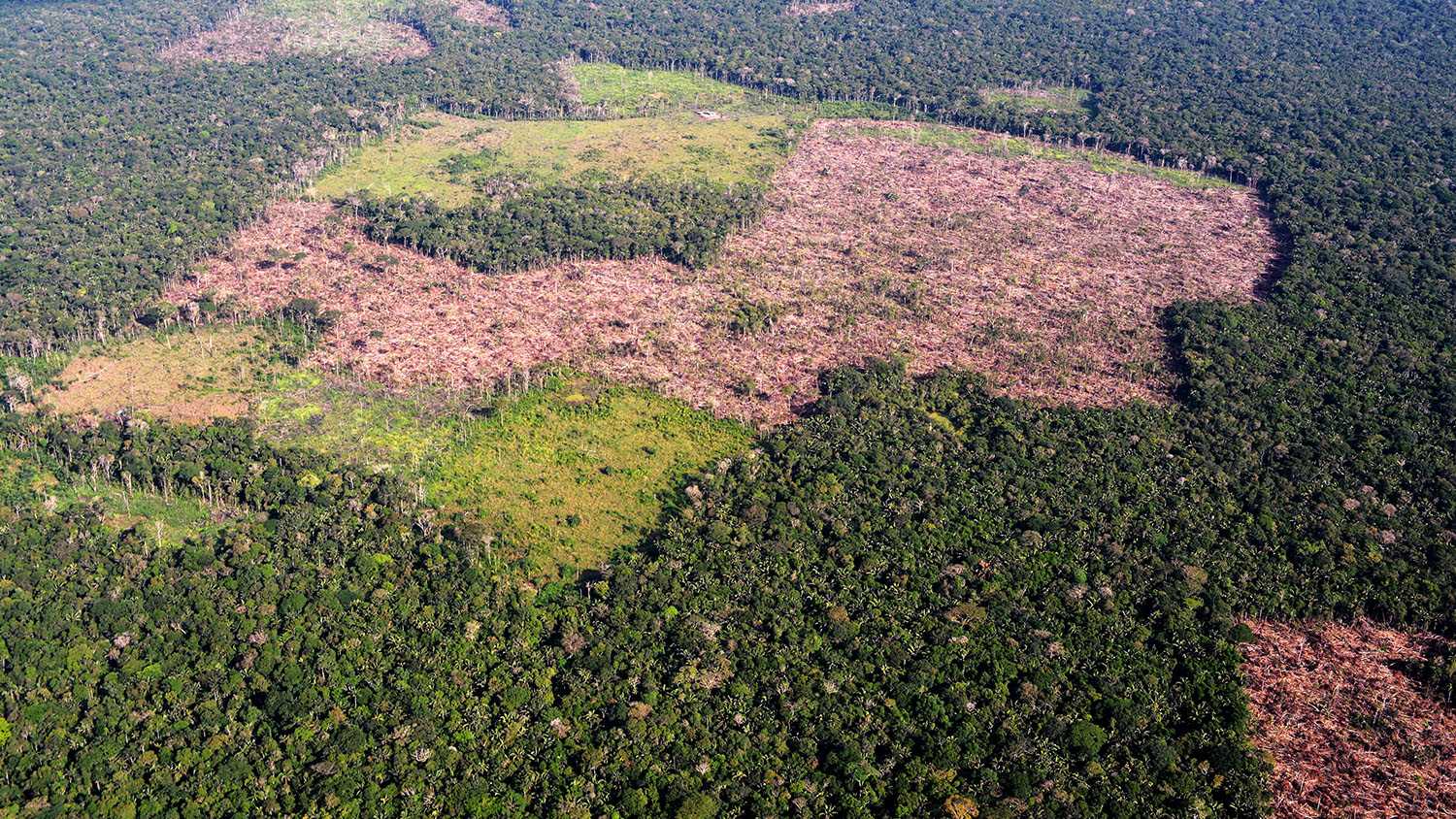 Observatorio Amazonia