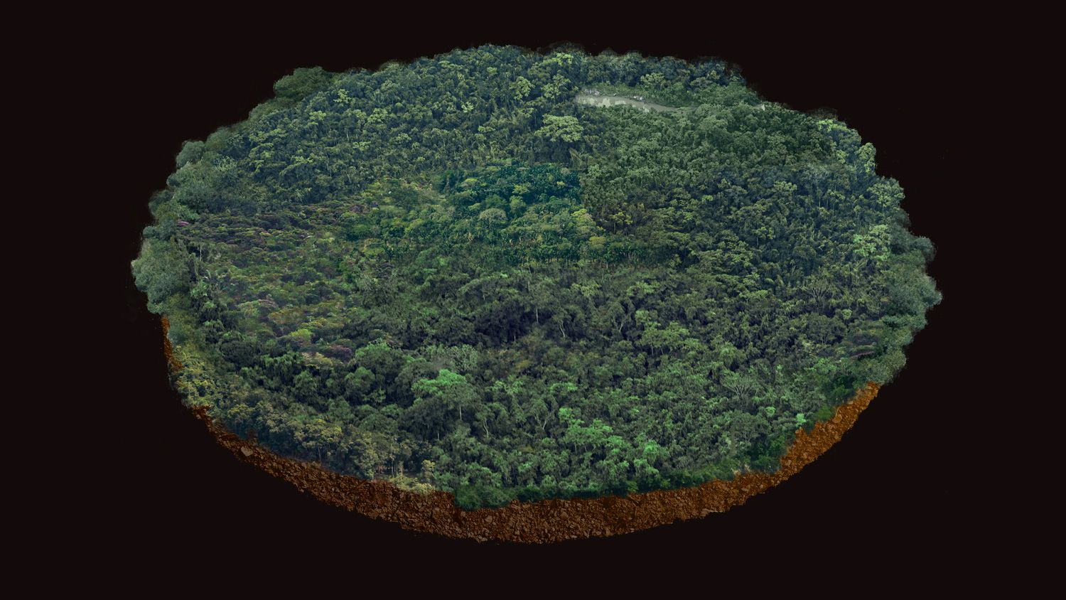 Observatorio Amazonia