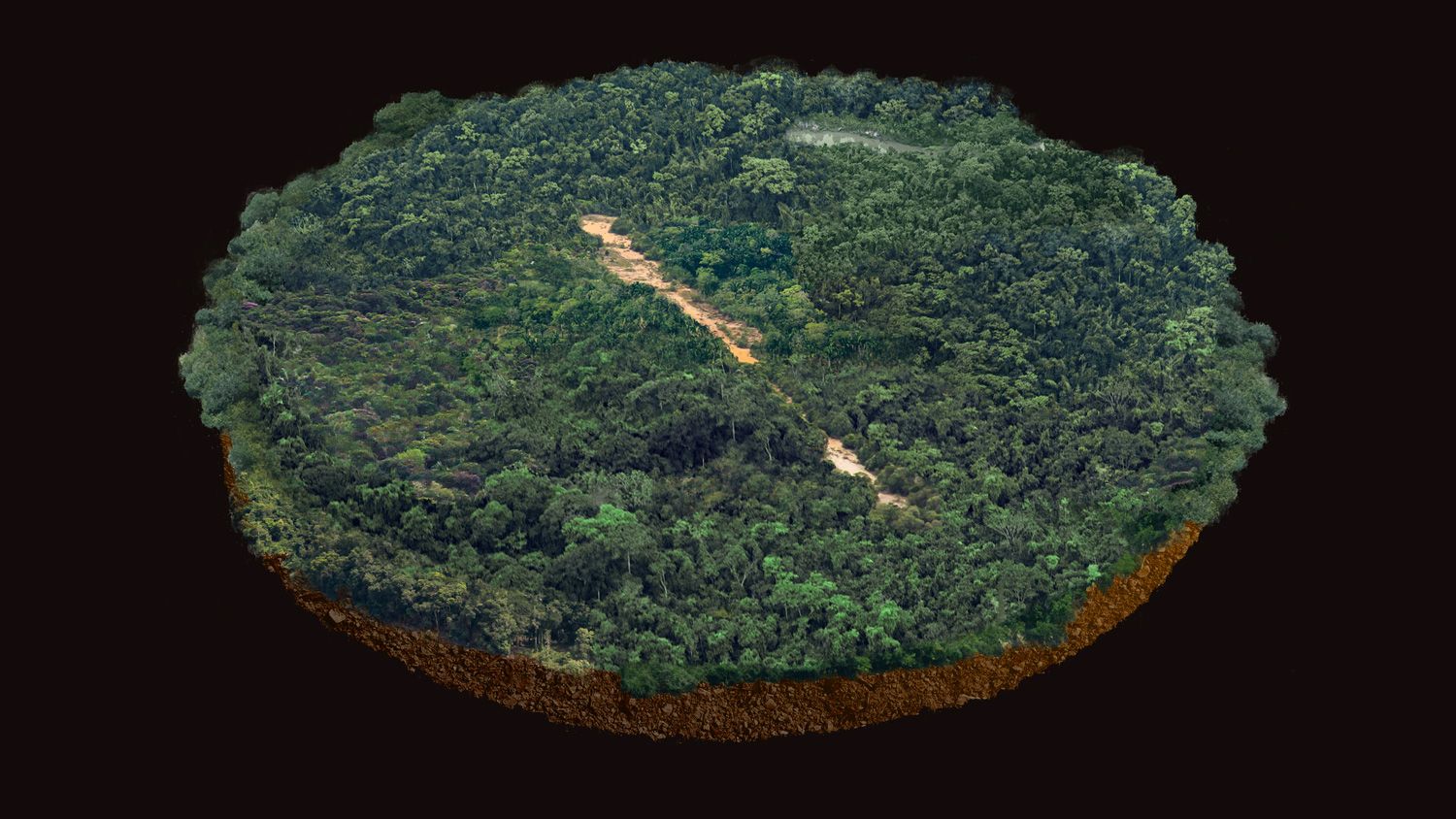 Observatorio Amazonia