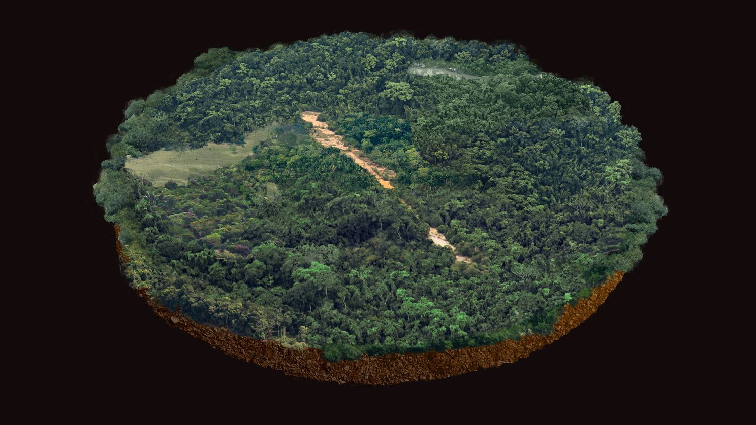Observatorio Amazonia