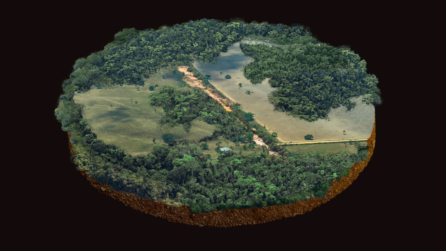 Observatorio Amazonia