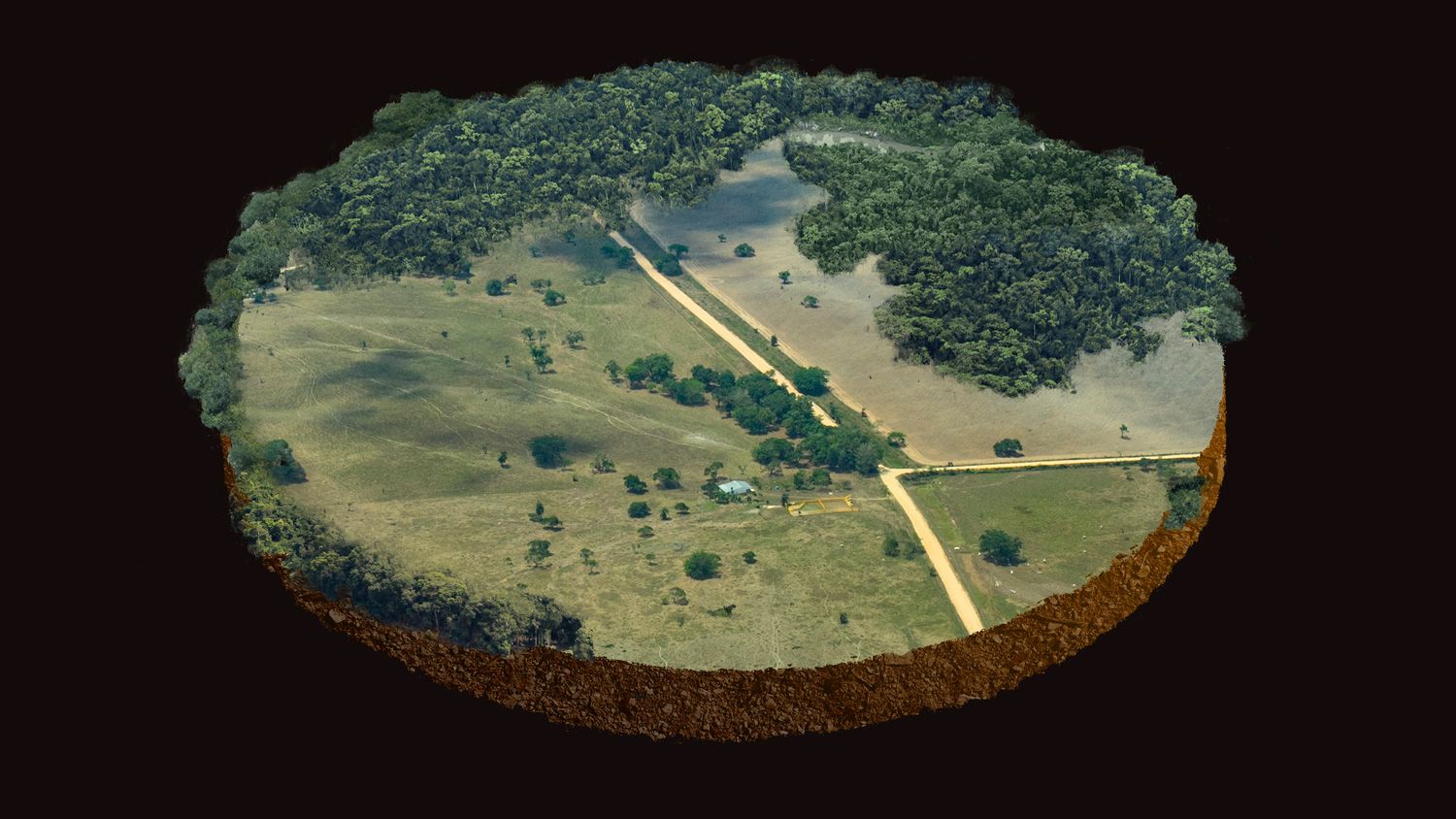 Observatorio Amazonia