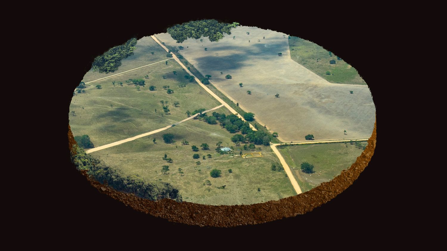 Observatorio Amazonia