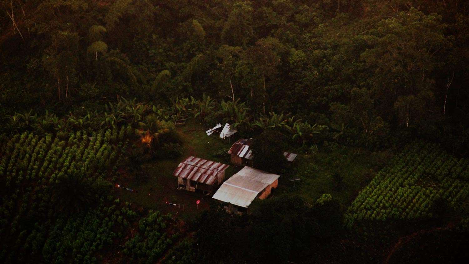 Observatorio Amazonia