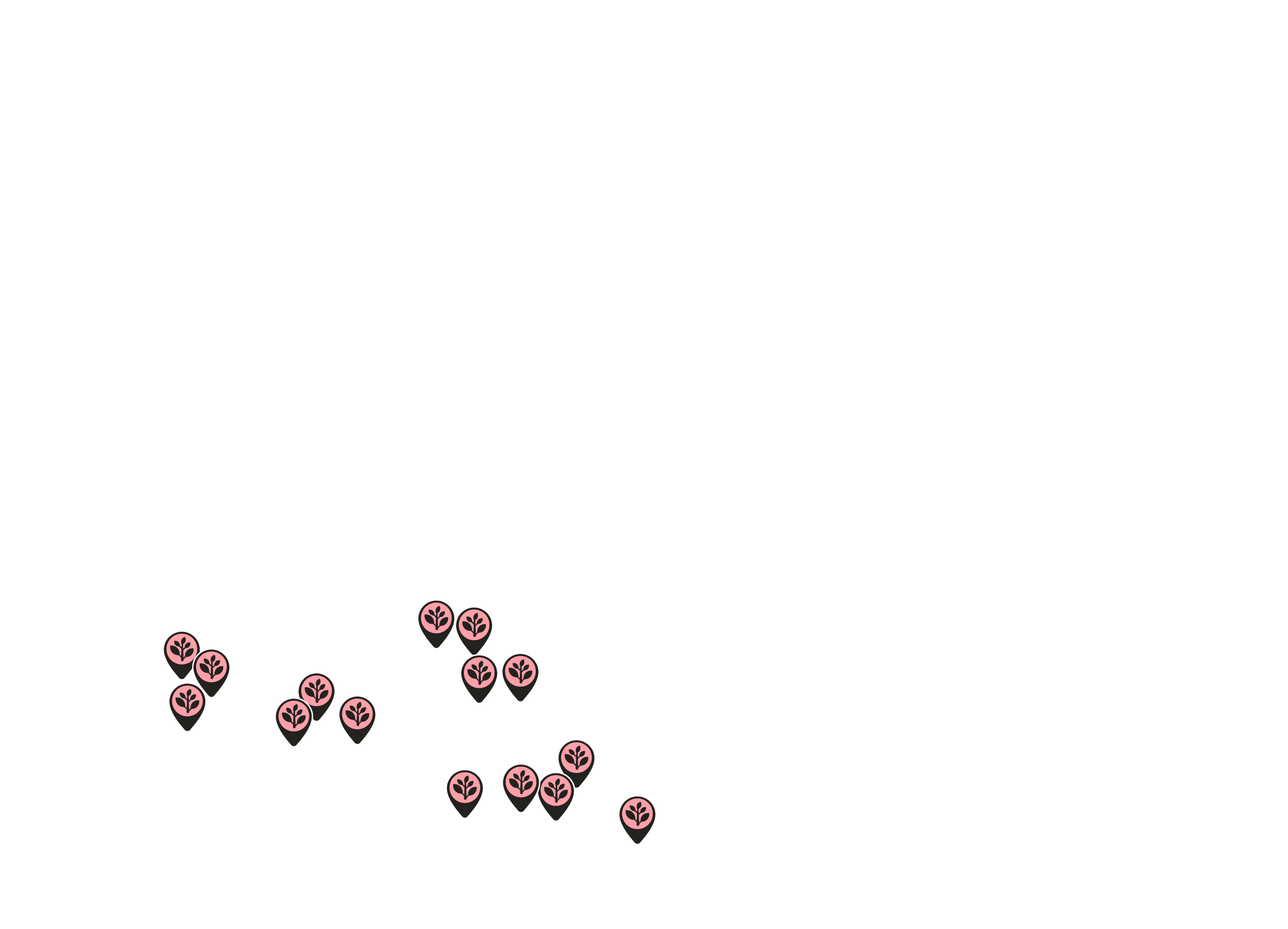 Observatorio Amazonia