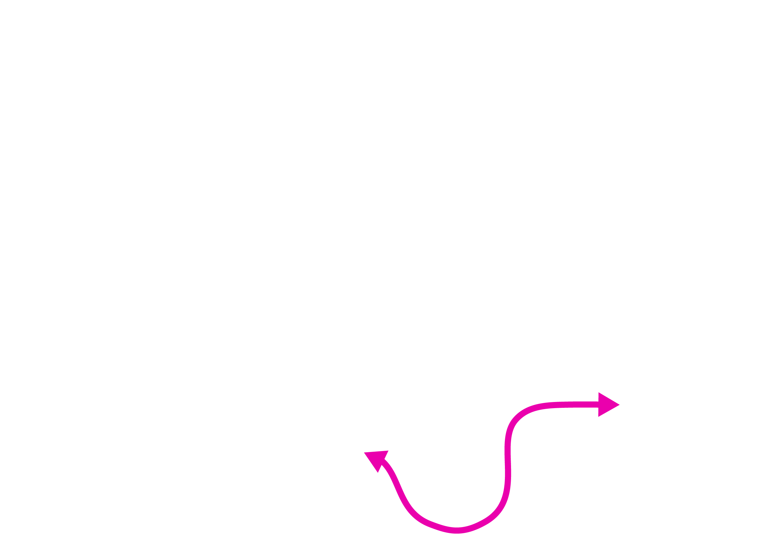 Observatorio Amazonia