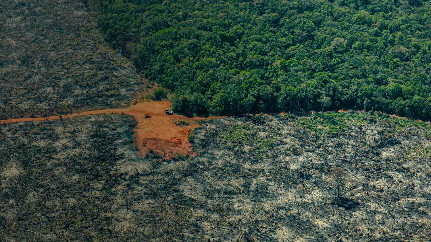 Observatorio Amazonia