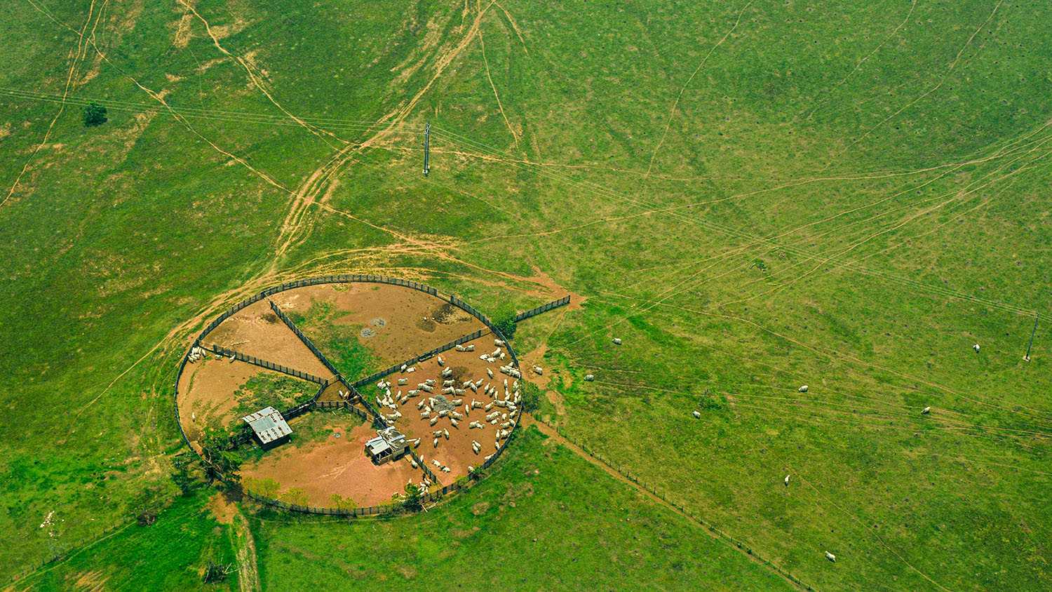 Observatorio Amazonia