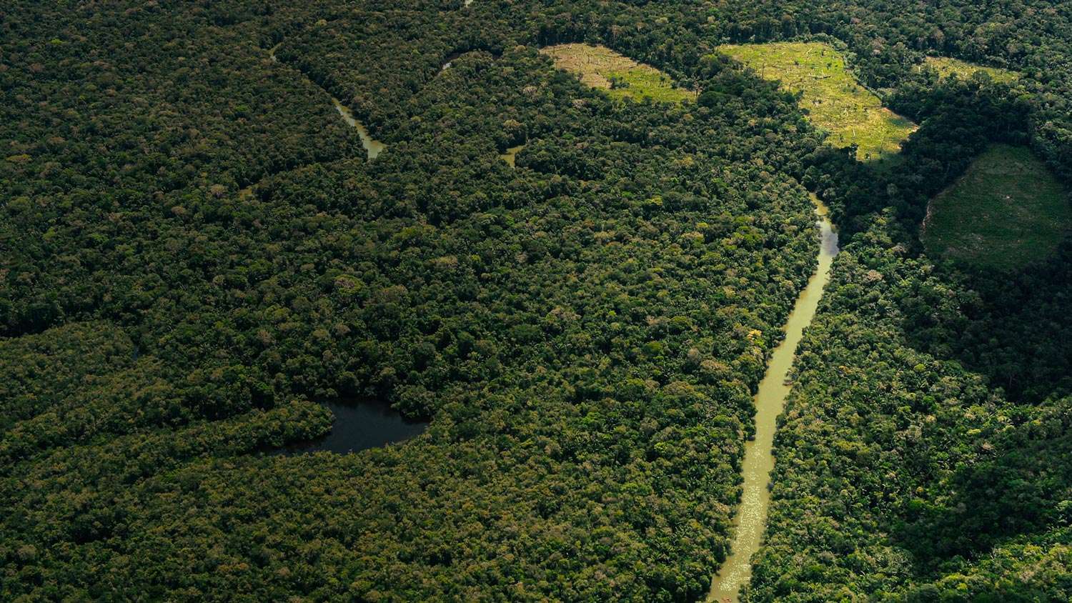 Observatorio Amazonia