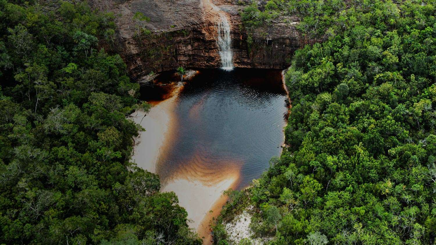 Observatorio Amazonia