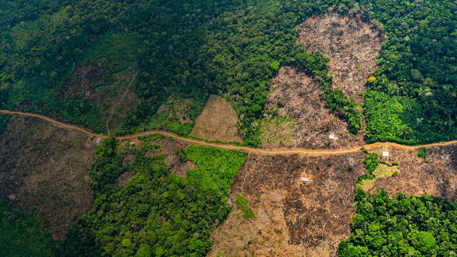 Observatorio Amazonia