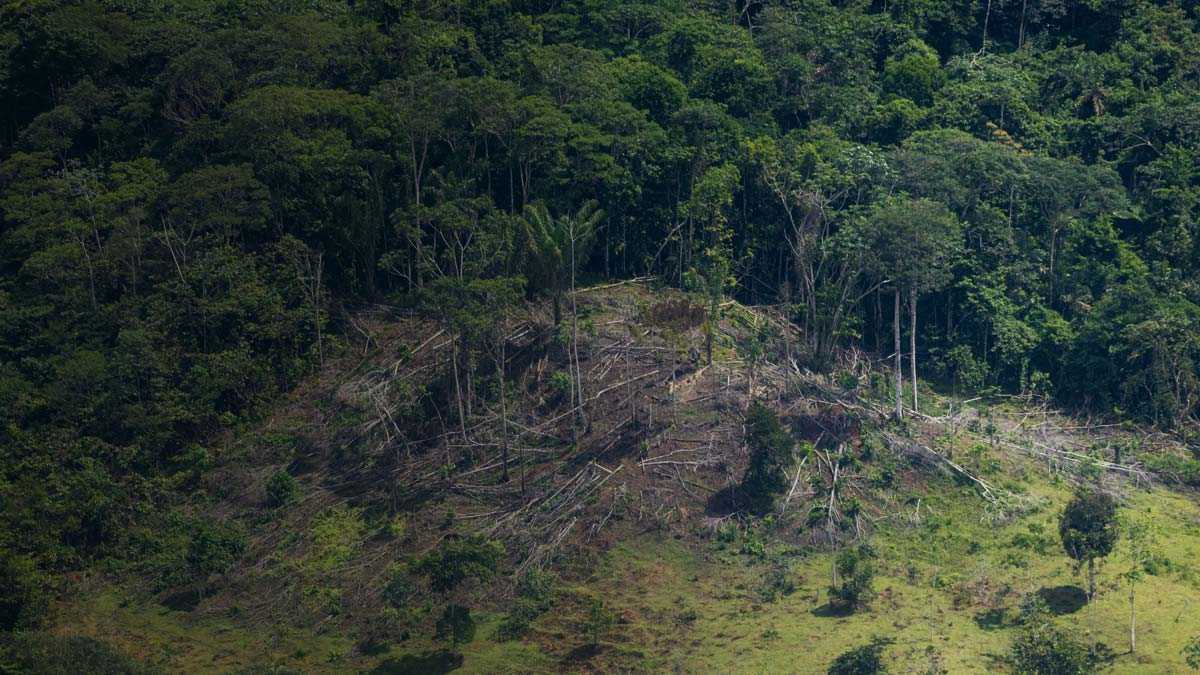 Observatorio Amazonia