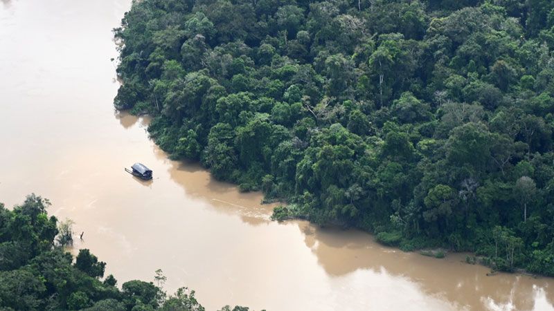Observatorio Amazonia