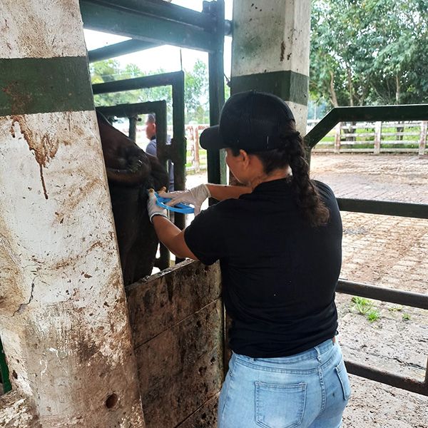 Observatorio Amazonia