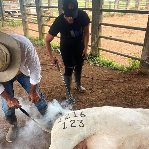 Observatorio Amazonia