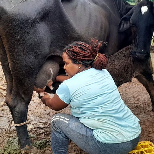 Observatorio Amazonia