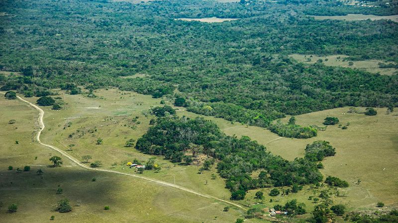 Observatorio Amazonia
