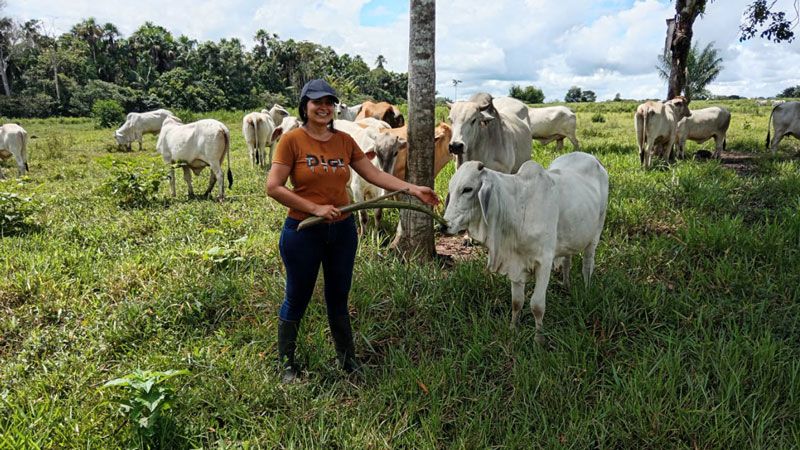 Observatorio Amazonia