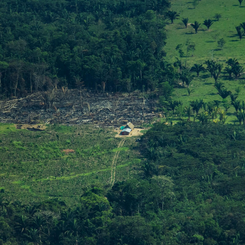 Observatorio Amazonia