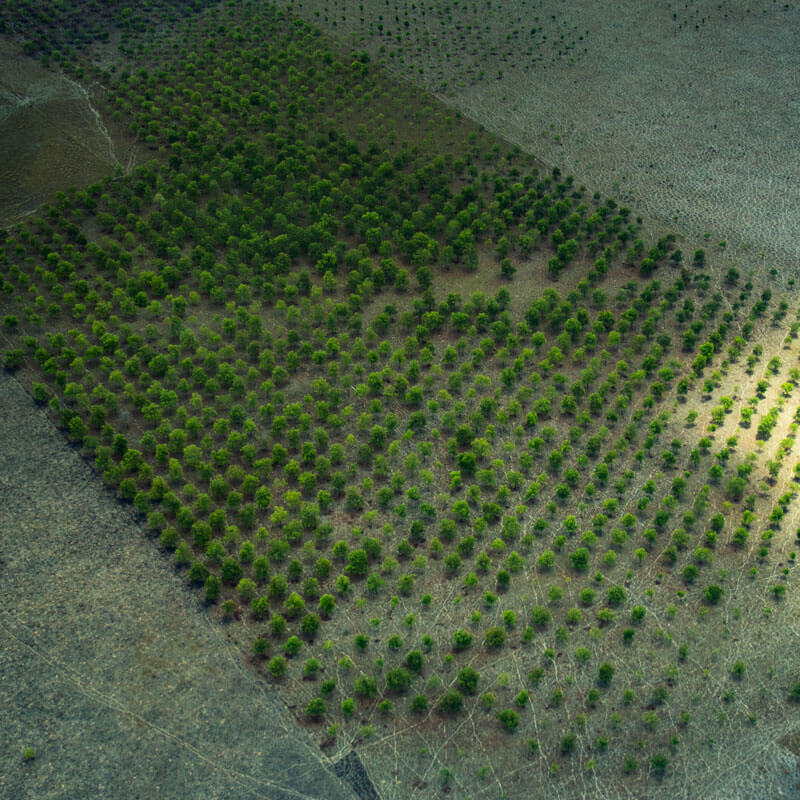 Observatorio Amazonia