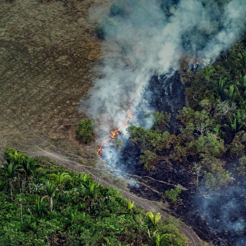 Observatorio Amazonia