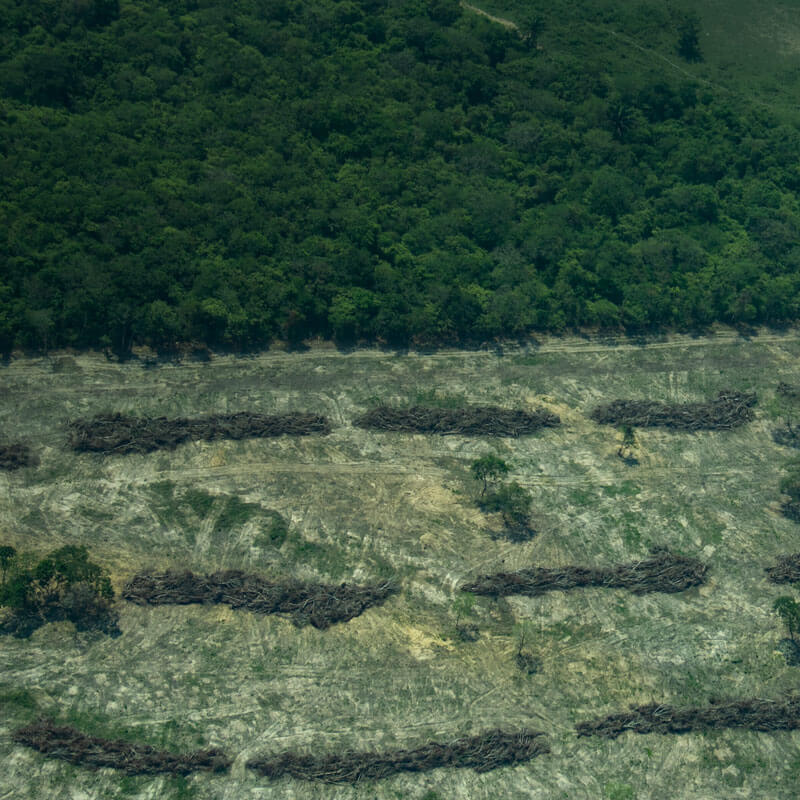 Observatorio Amazonia