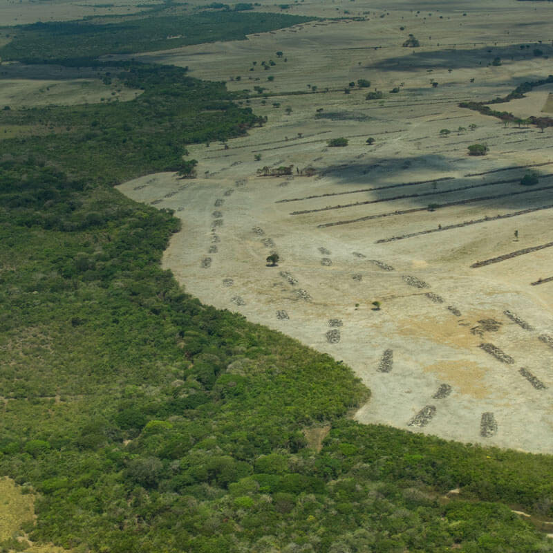 Observatorio Amazonia