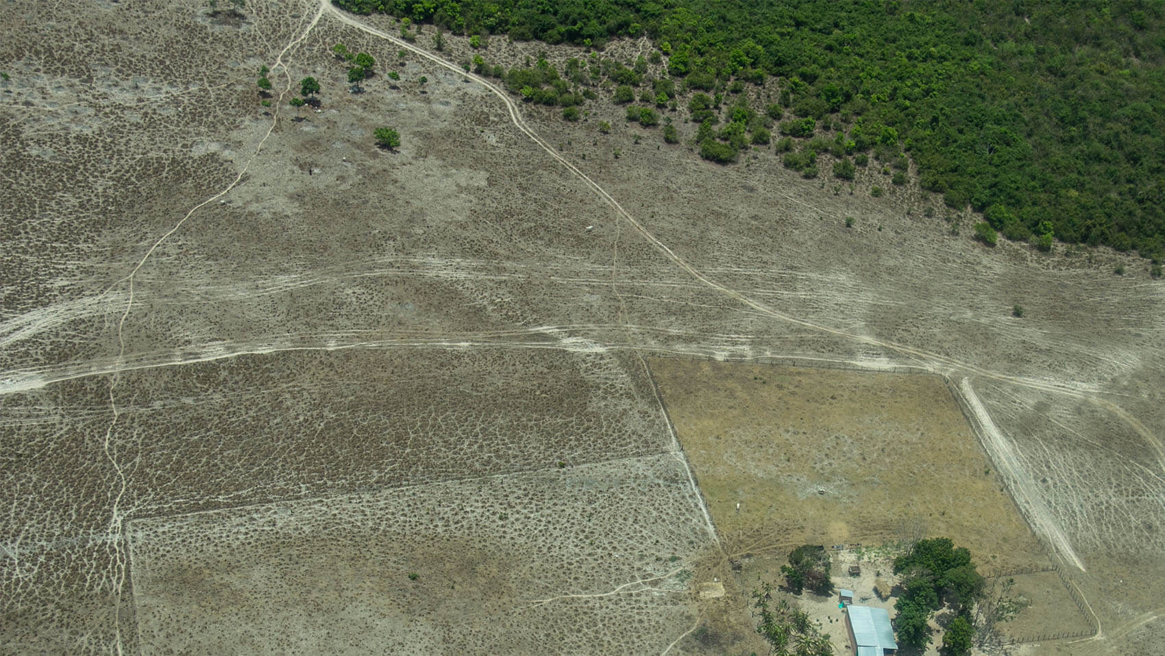 Observatorio Amazonia