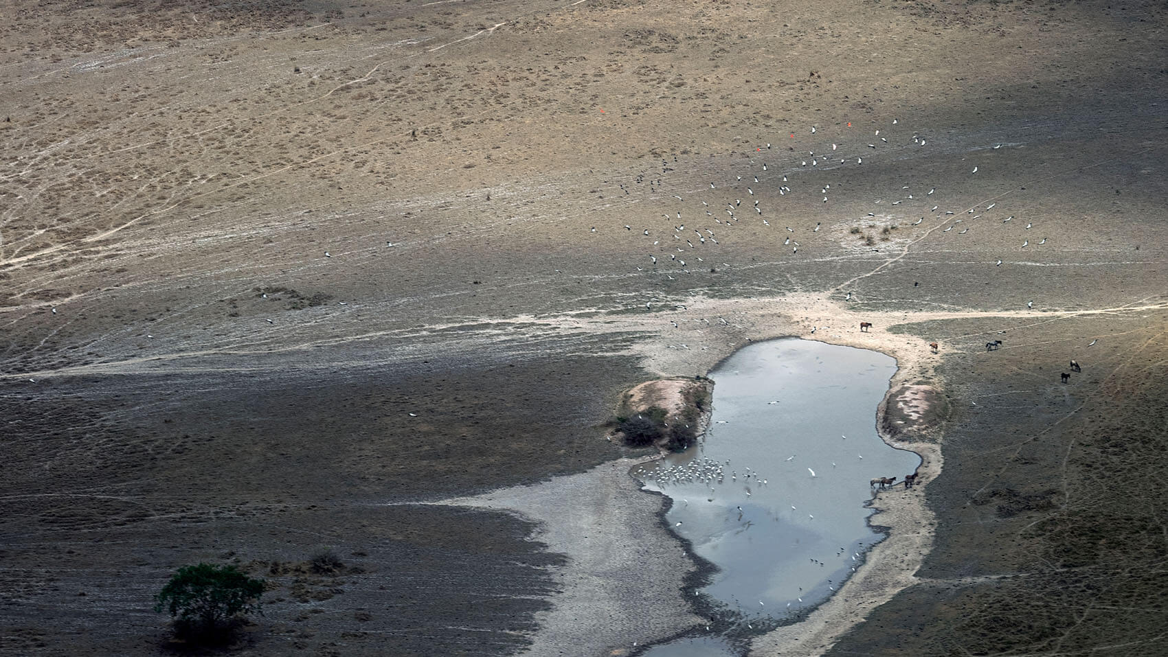 Observatorio Amazonia