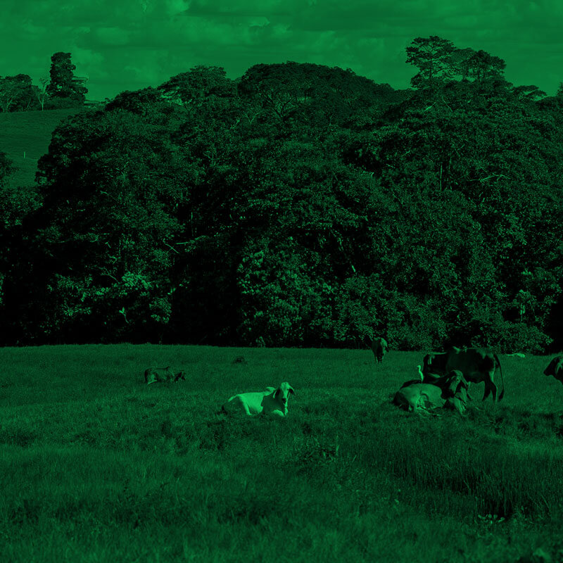 Observatorio Amazonia