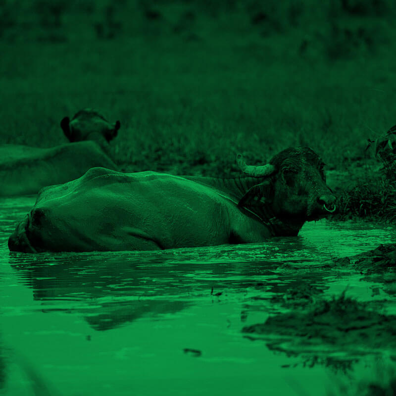 Observatorio Amazonia