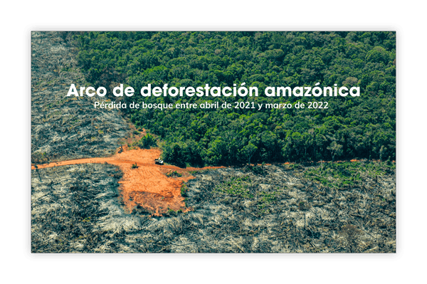 Observatorio Amazonia