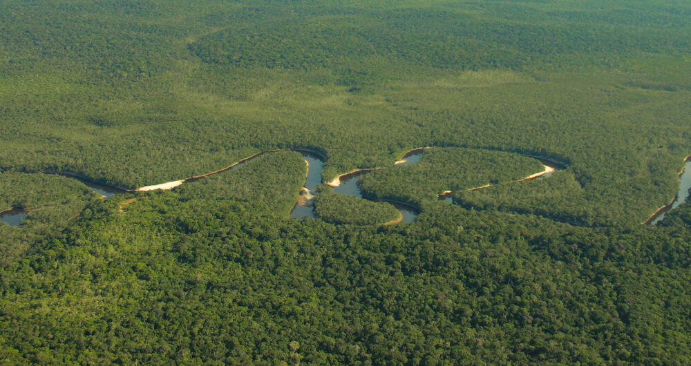 Observatorio Amazonia
