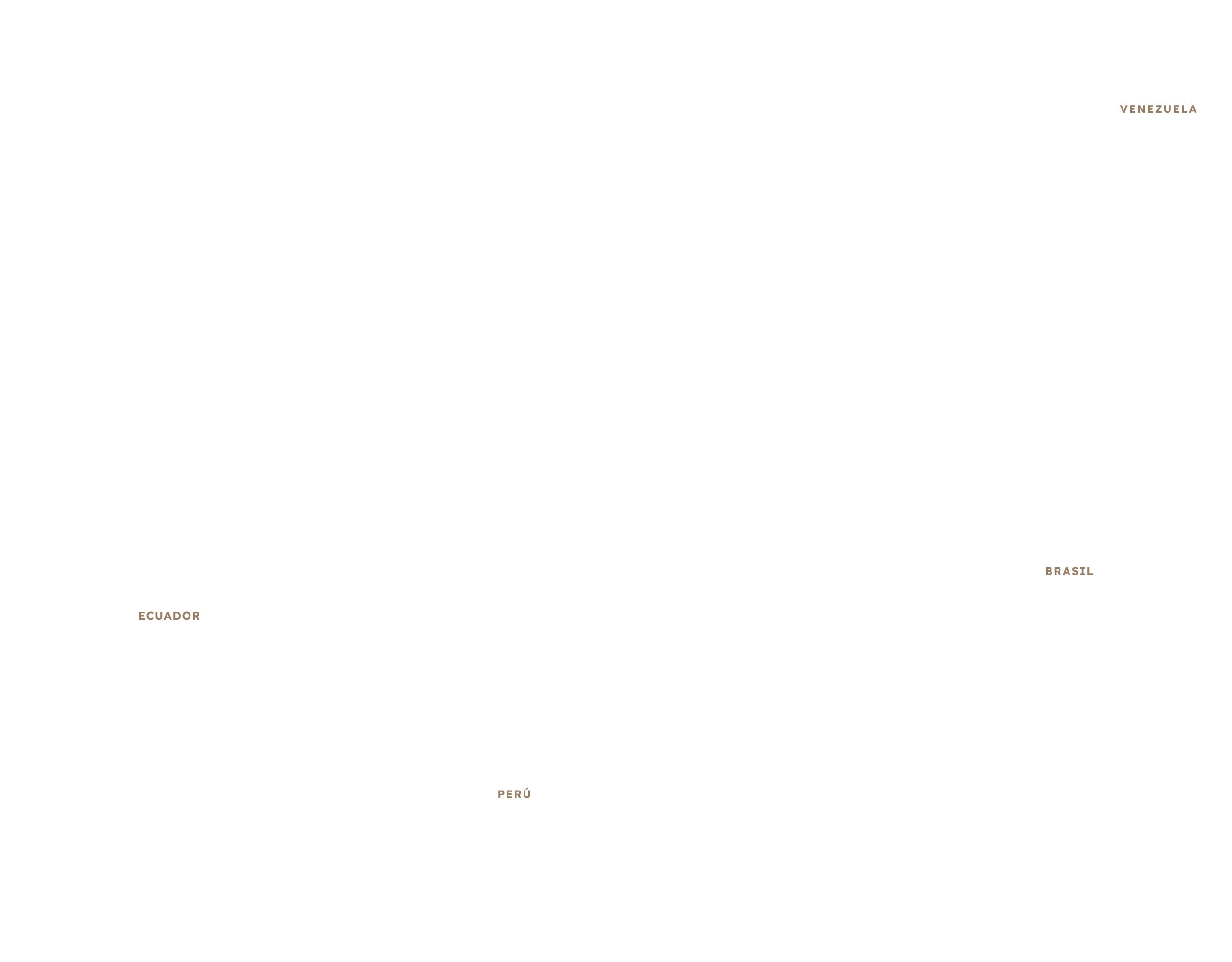 Observatorio Amazonia