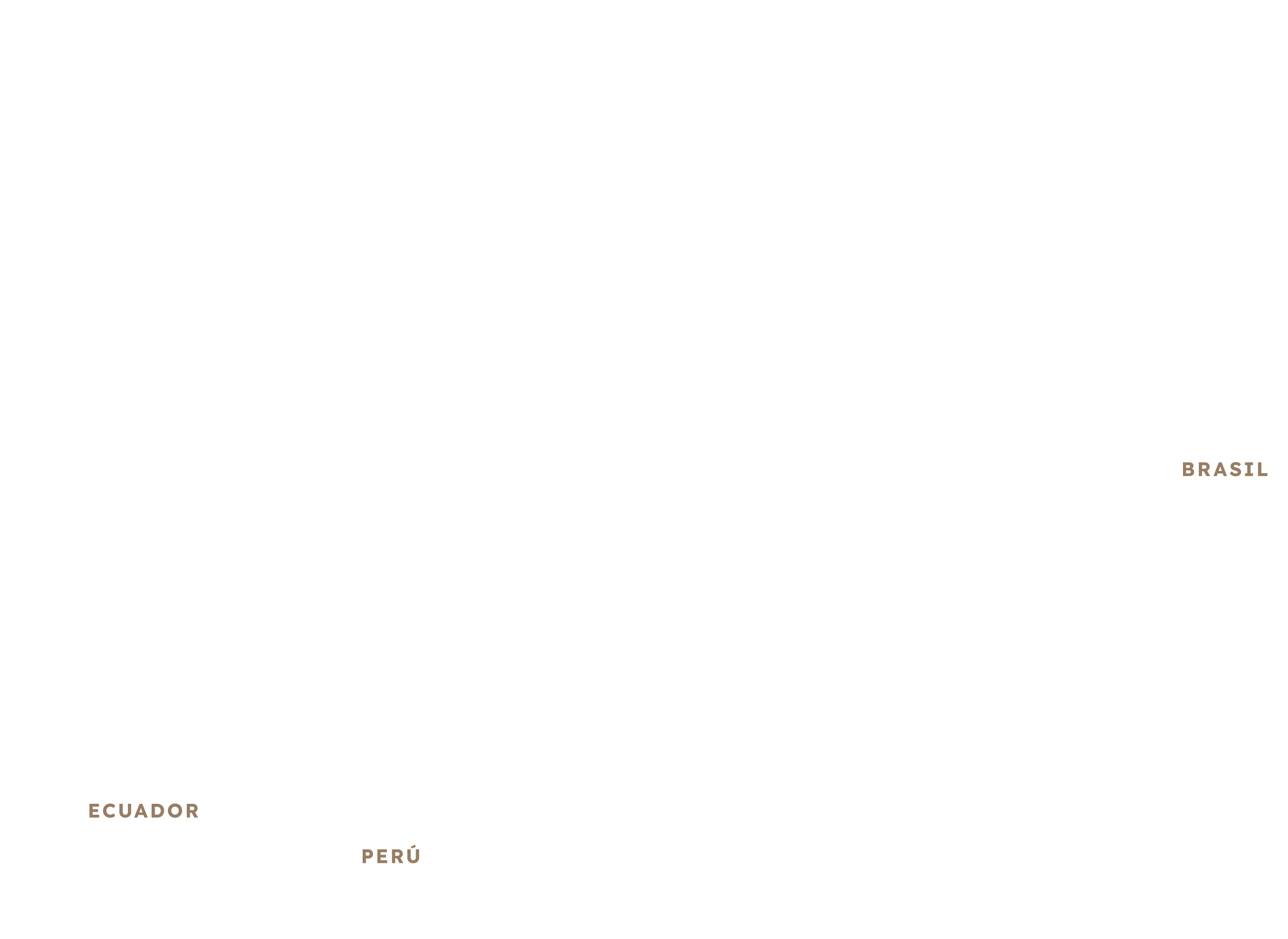 Observatorio Amazonia