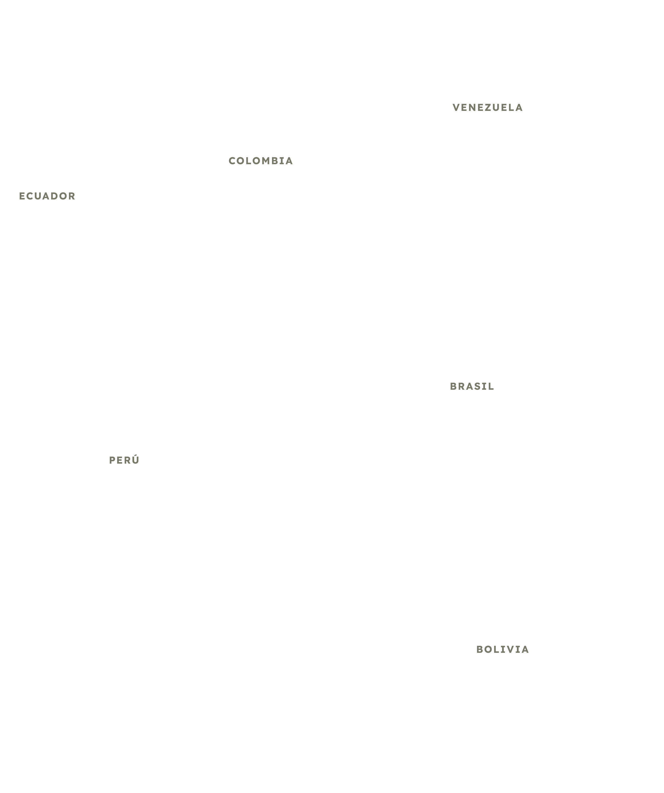 Observatorio Amazonia