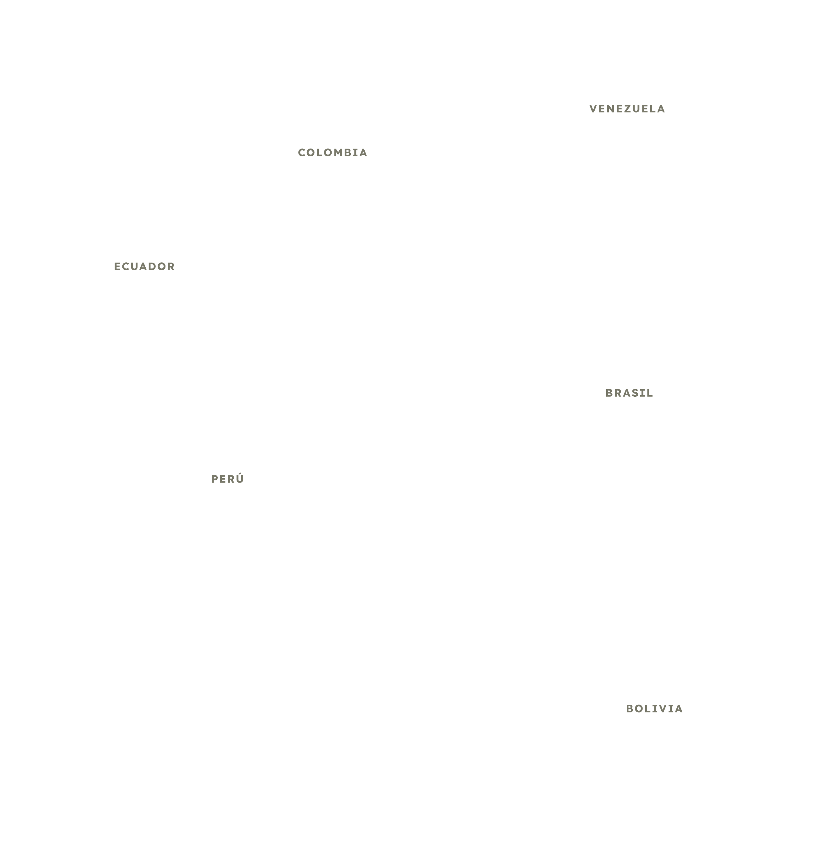 Observatorio Amazonia