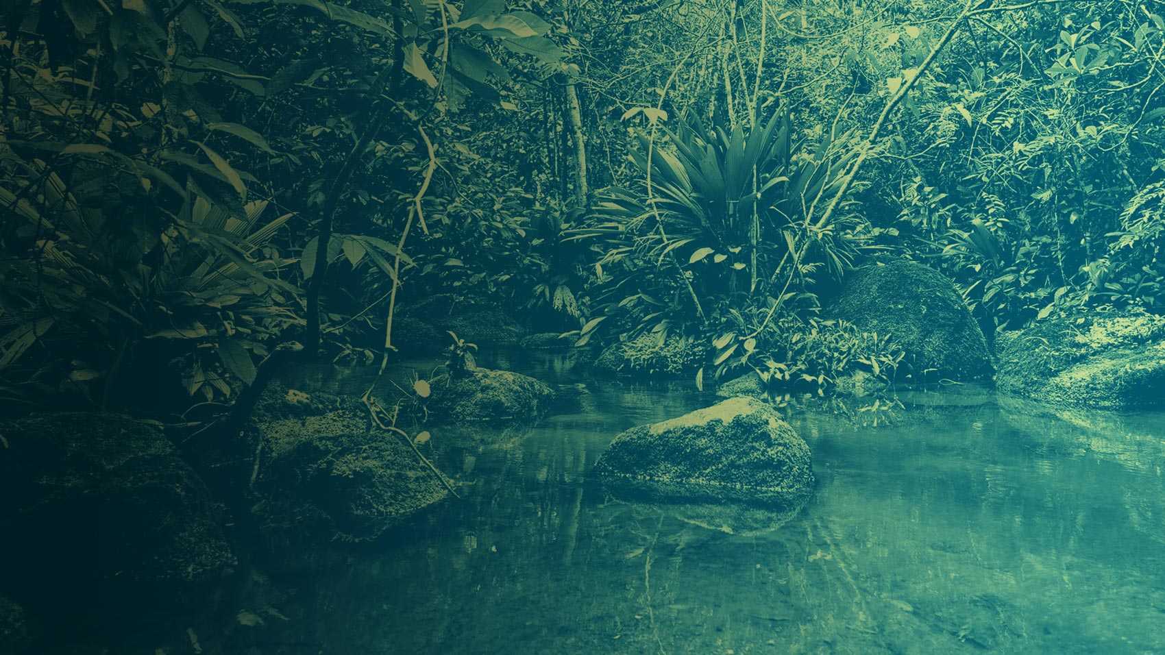 Observatorio Amazonia
